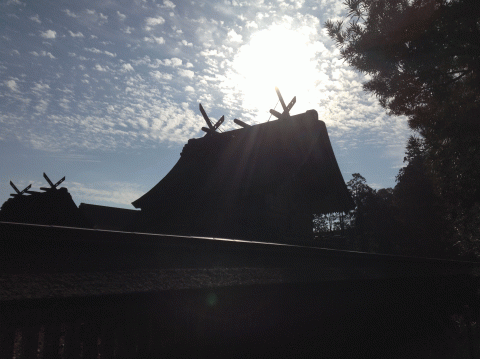 Izumo grand shrine