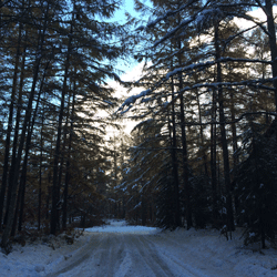 Winter Road